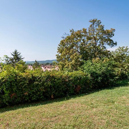 Apartamento Le Nichoir De La Colline - Parking & Wifi Obernai Exterior foto