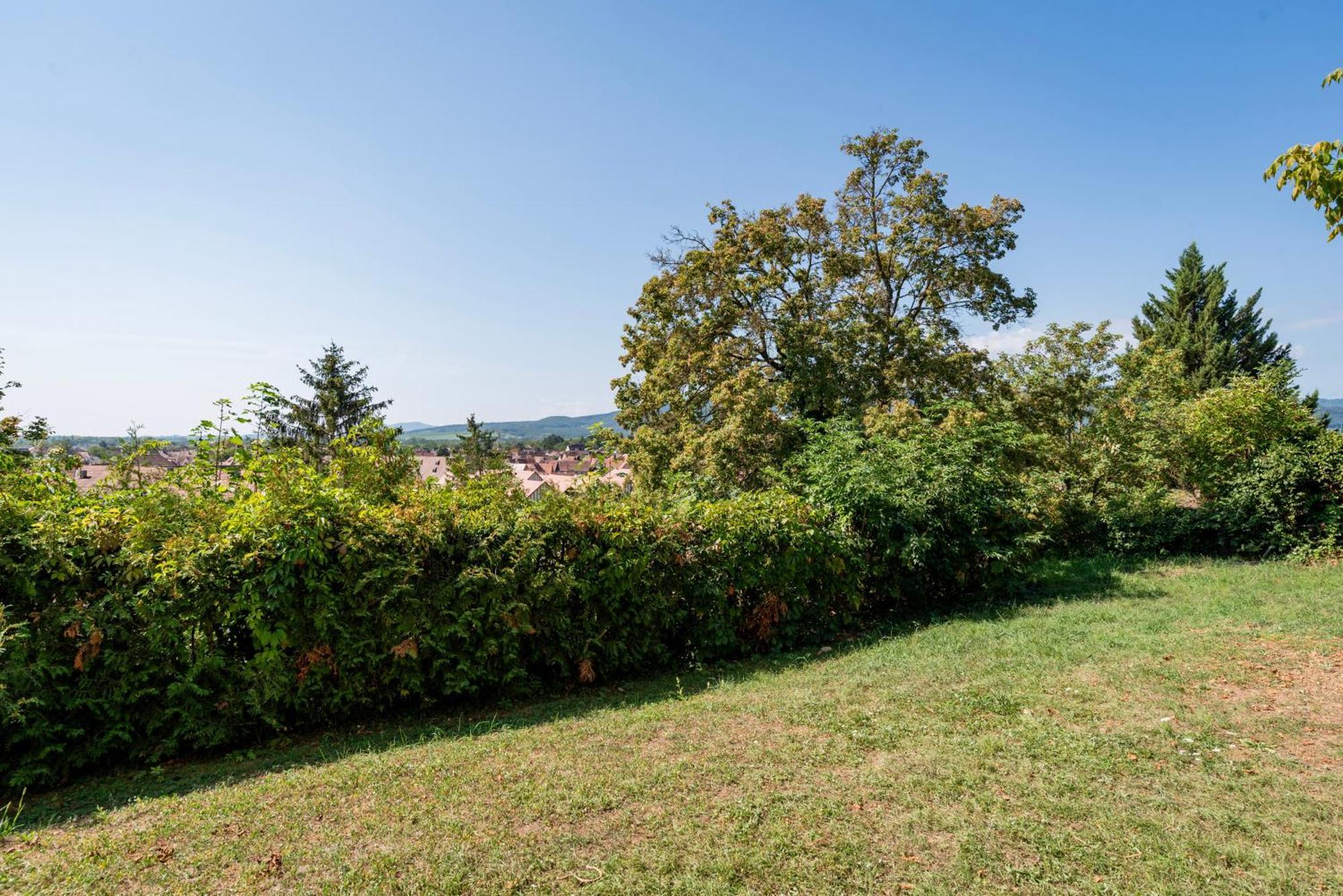 Apartamento Le Nichoir De La Colline - Parking & Wifi Obernai Exterior foto
